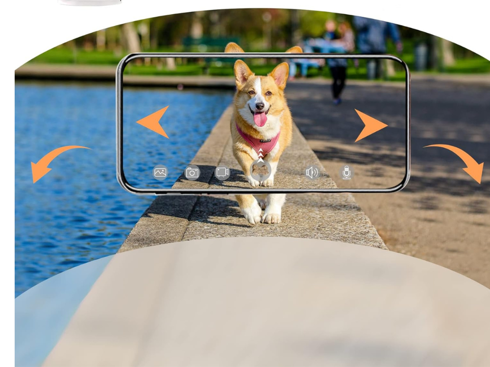 Dog Treat Dispensing Camera