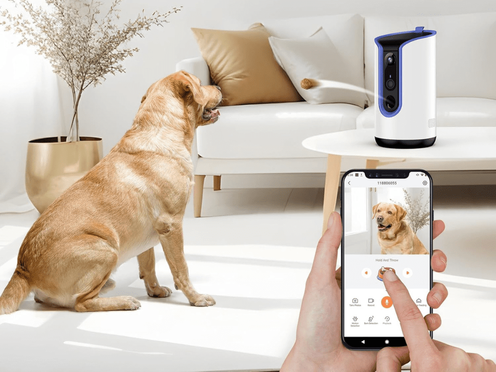 Pet camera with treat throwing