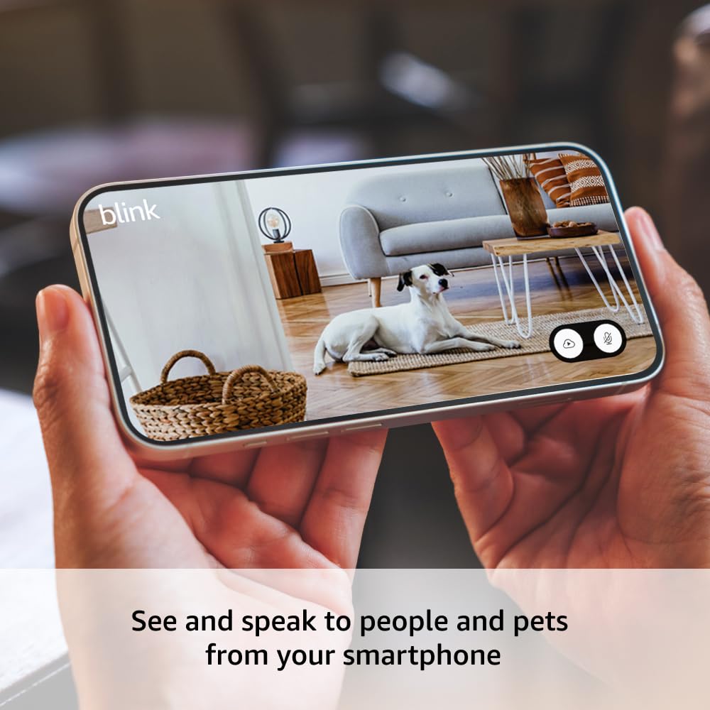 pet camera for home